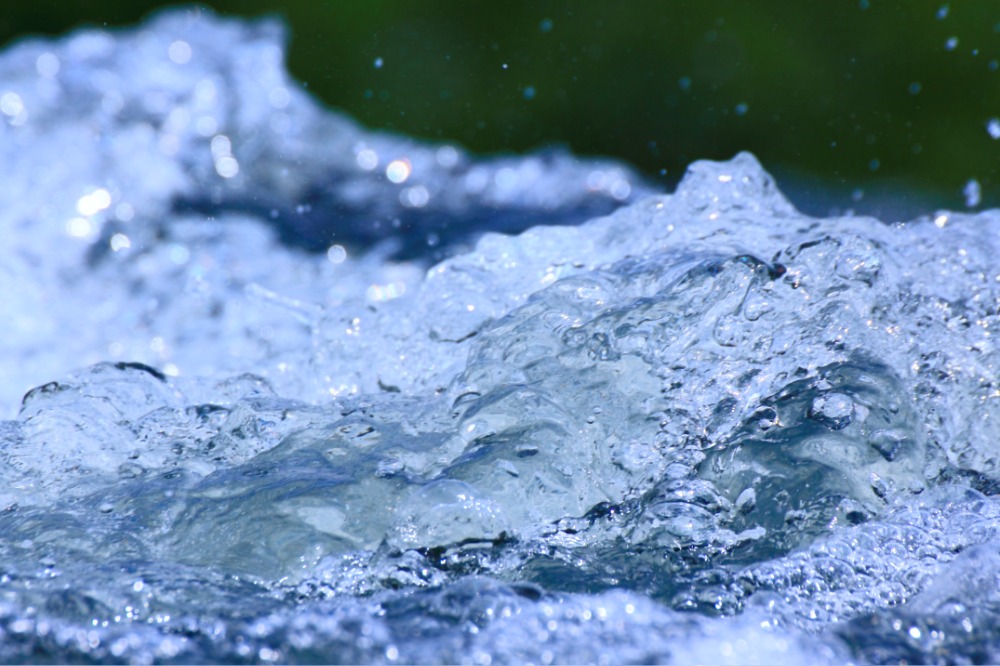 京都の名水が育む、本物の味